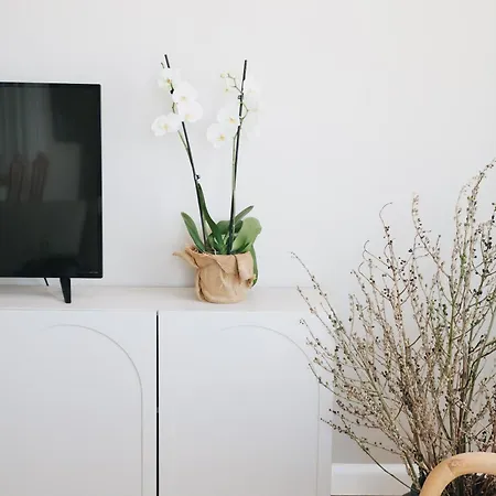 아파트 Penthouse Fantasia