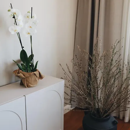 Apartment Penthouse Fantasia
