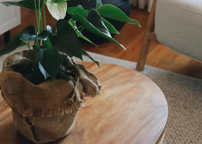 Penthouse Fantasia Ντουμπρόβνικ