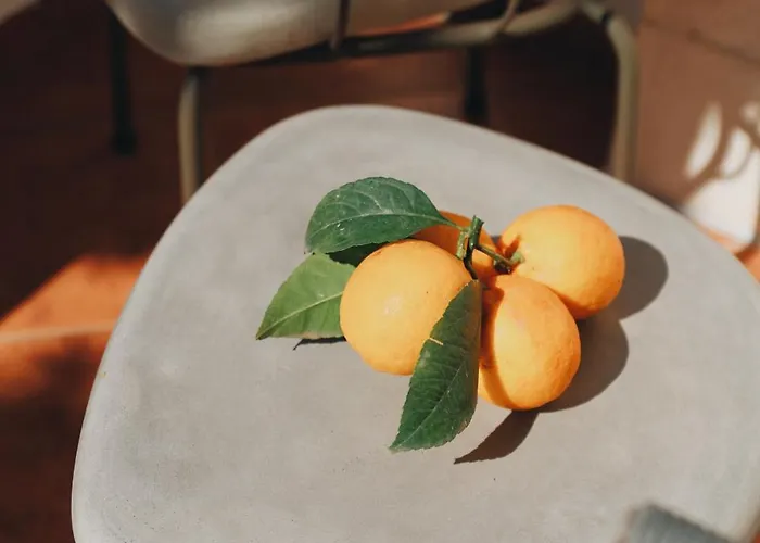 Penthouse Fantasia *