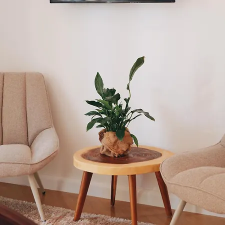 Appartement Penthouse Fantasia *
