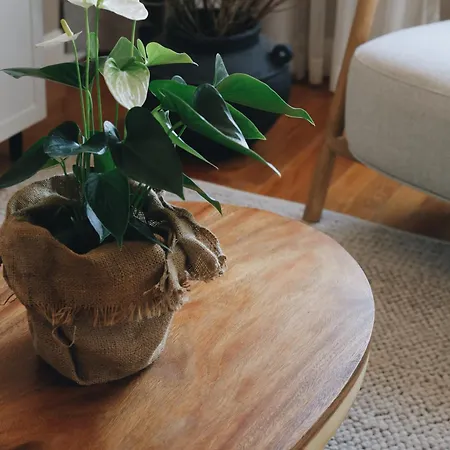 Penthouse Fantasia ドゥブロブニク