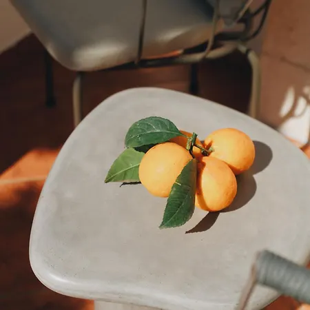 Penthouse Fantasia *